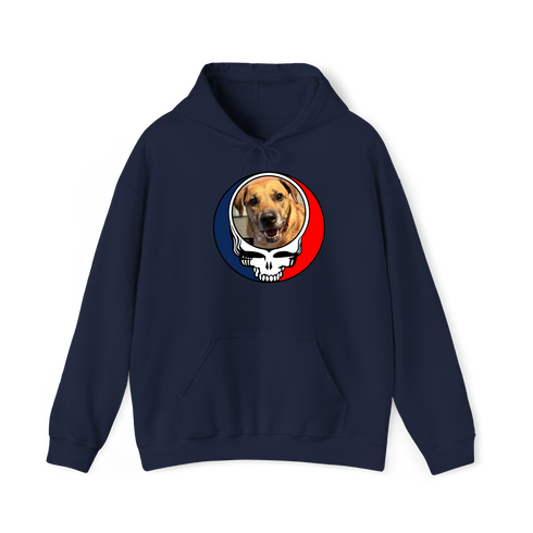 1672 - Custom Stealie Hoodie