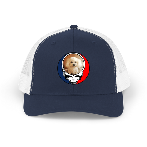 1641 - Custom Stealie Trucker Cap
