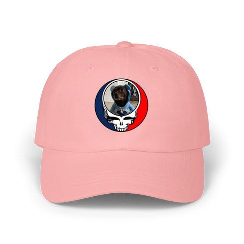 1646 - Custom Stealie Dad Hat