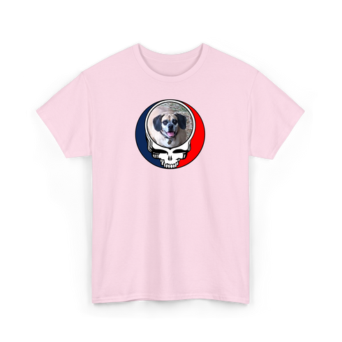 1735 - Custom Stealie T-Shirt