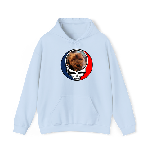 1625 - Custom Stealie Hoodie