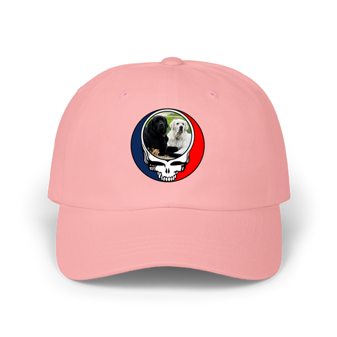 1619 - Custom Stealie Dad Hat