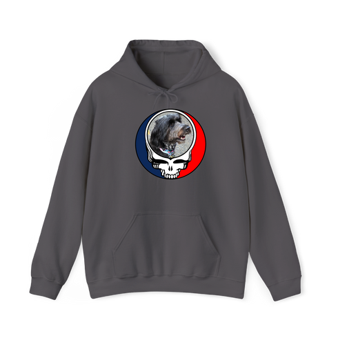 1721 - Custom Stealie Hoodie