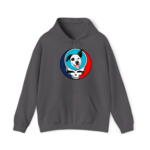 1593 - Custom Stealie Hoodie