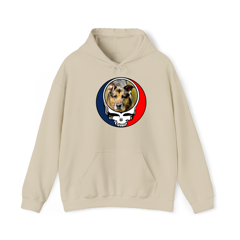 1449 - Custom Stealie Hoodie