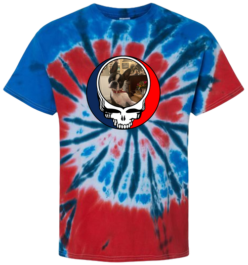 1404 - Custom Stealie Tie-Dye