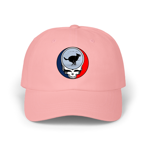 1628 - Custom Stealie Dad Hat