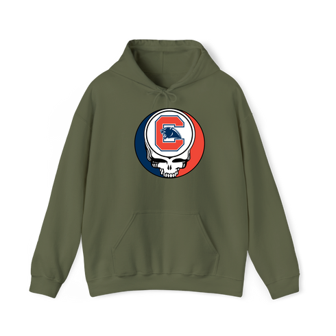 1663 - Custom Stealie Hoodie