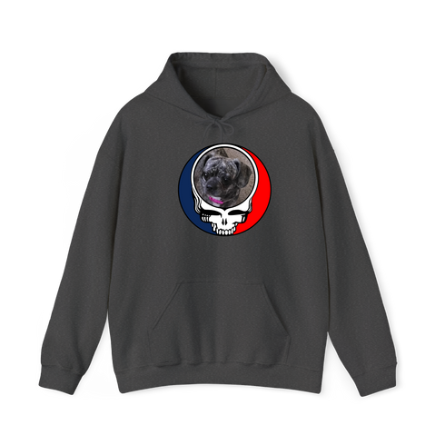 1621 - Custom Stealie Hoodie