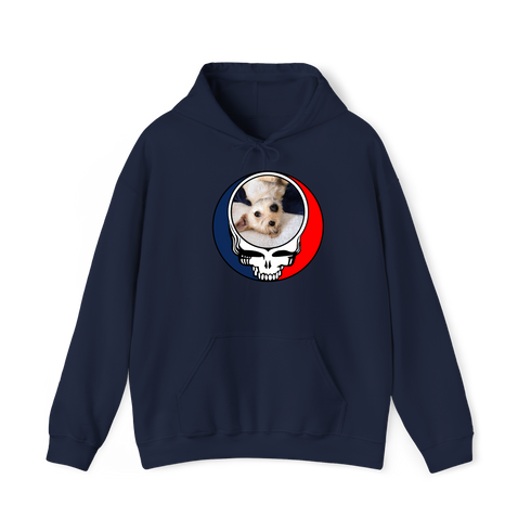 1615 - Custom Stealie Hoodie