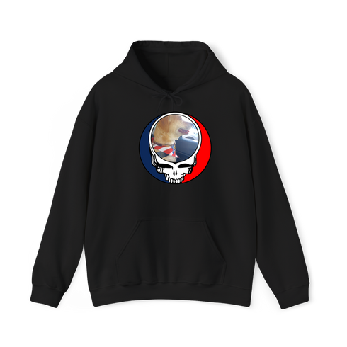 1647 - Custom Stealie Hoodie