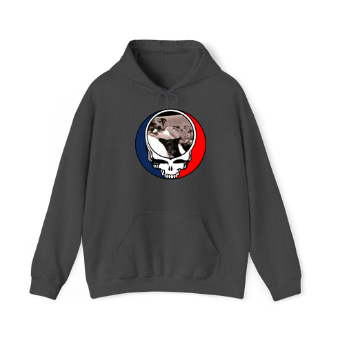 1480 - Custom Stealie Hoodie