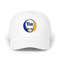 1608 - Custom Stealie Dad Hat