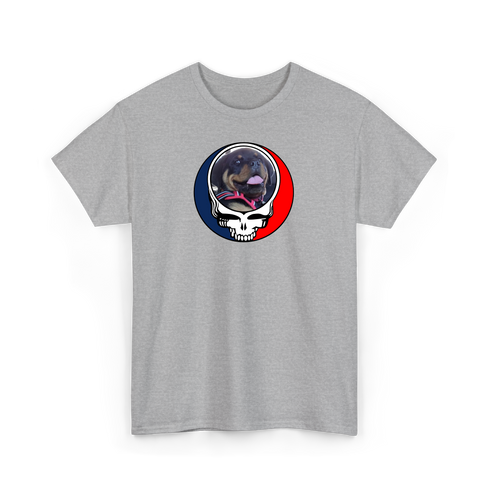 1639 - Custom Stealie T-Shirt