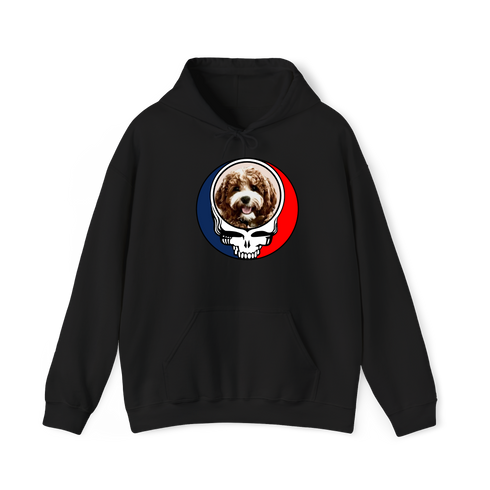 1730 - Custom Stealie Hoodie