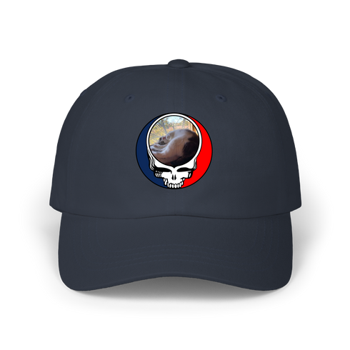 1634 - Custom Stealie Dad Hat