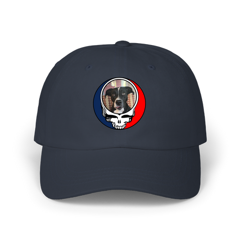 1517 - Custom Stealie Dad Hat