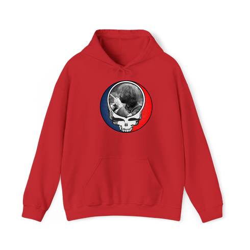 1565 - Custom Stealie Hoodie