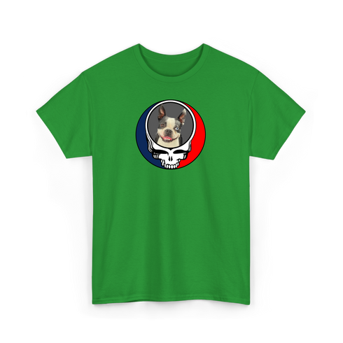 1445 - Custom Stealie T-Shirt
