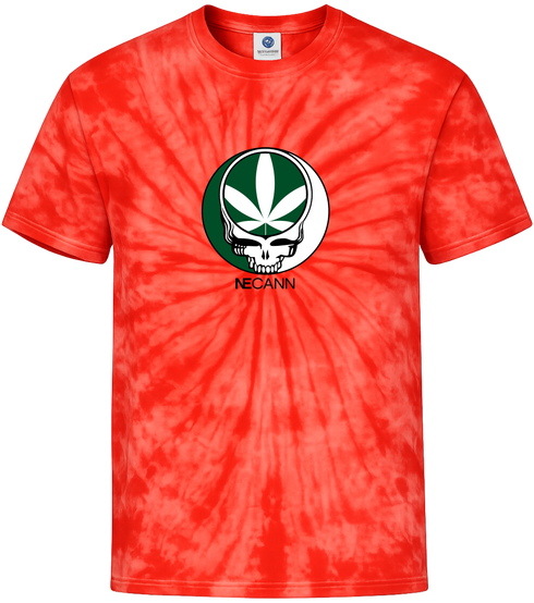 1667 - Custom Stealie Tie-Dye