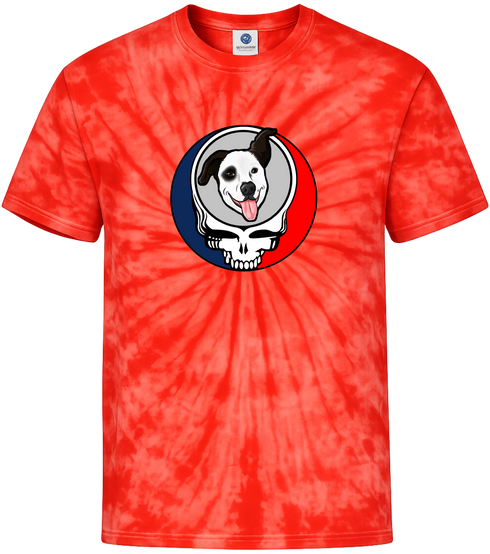 1613 - Custom Stealie Tie-Dye