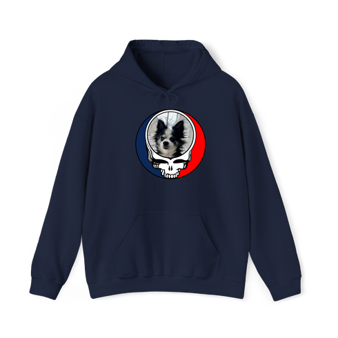 1709 - Custom Stealie Hoodie