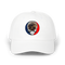 1537 - Custom Stealie Dad Hat