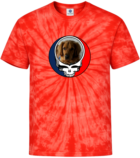 1729 - Custom Stealie Tie-Dye
