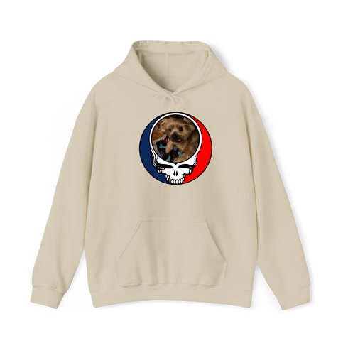 1349 - Custom Stealie Hoodie