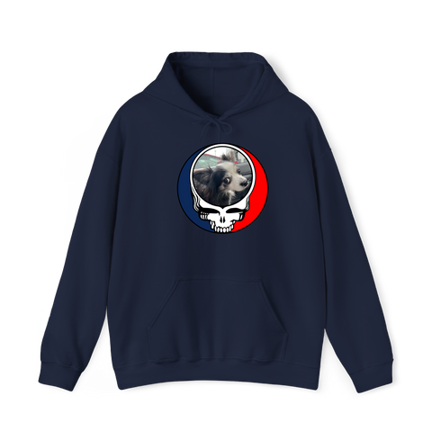 1715 - Custom Stealie Hoodie