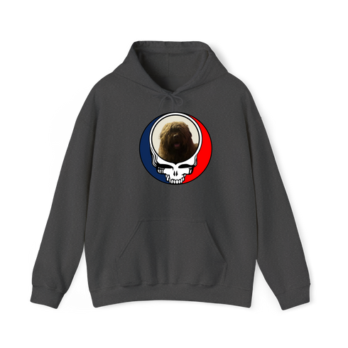 1461 - Custom Stealie Hoodie