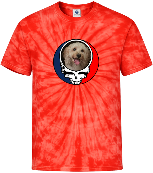 1542 - Custom Stealie Tie-Dye