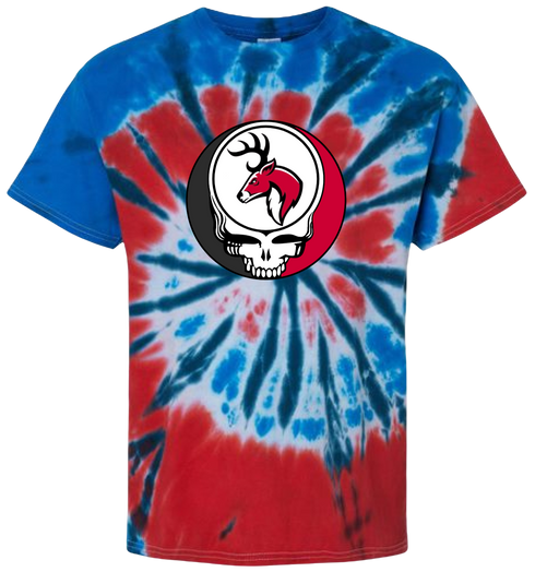 1664 - Custom Stealie Tie-Dye