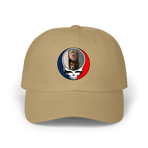 1629 - Custom Stealie Dad Hat
