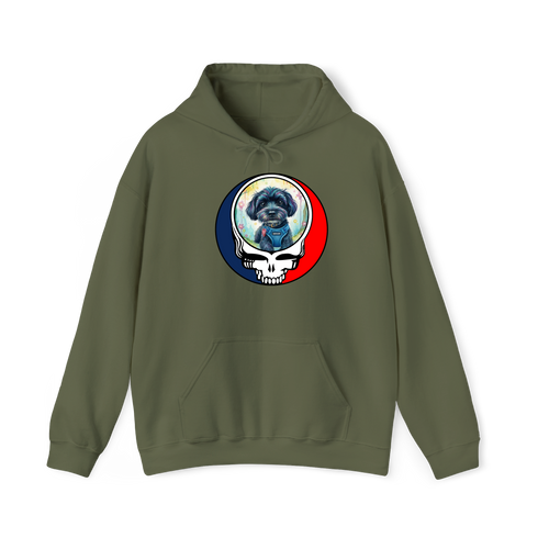 1540 - Custom Stealie Hoodie