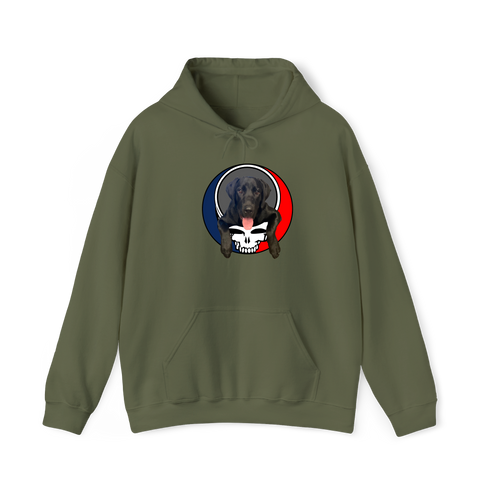 1620 - Custom Stealie Hoodie