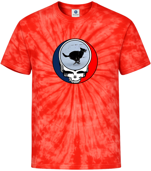 1628 - Custom Stealie Tie-Dye