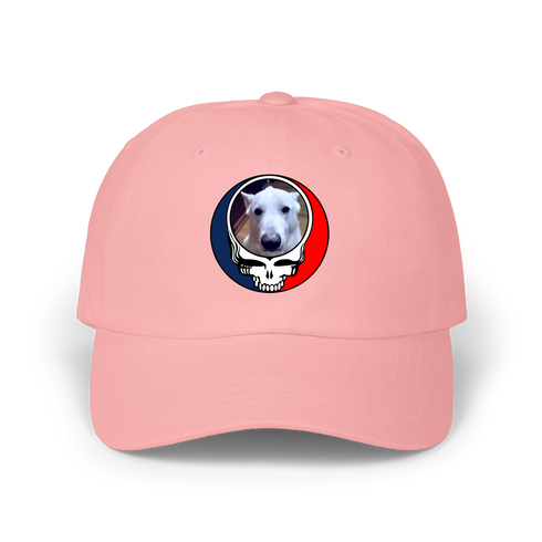 1569 - Custom Stealie Dad Hat