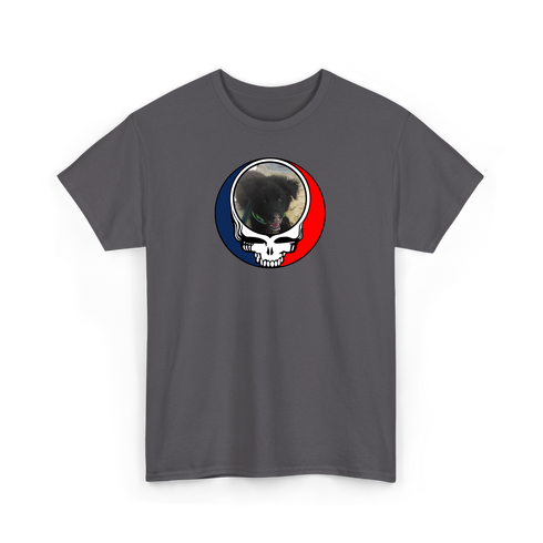1713 - Custom Stealie T-Shirt