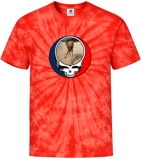 1637 - Custom Stealie Tie-Dye