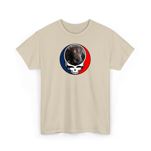 1560 - Custom Stealie T-Shirt