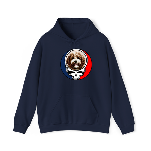 1730 - Custom Stealie Hoodie