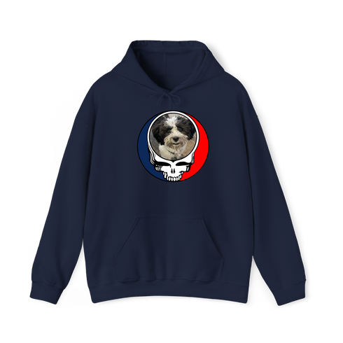 1595 - Custom Stealie Hoodie