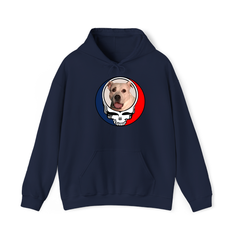 1543 - Custom Stealie Hoodie