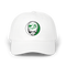 1734 - Custom Stealie Dad Hat