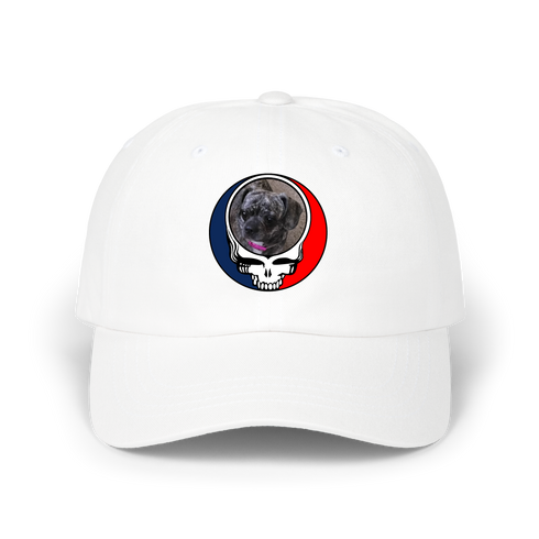 1621 - Custom Stealie Dad Hat