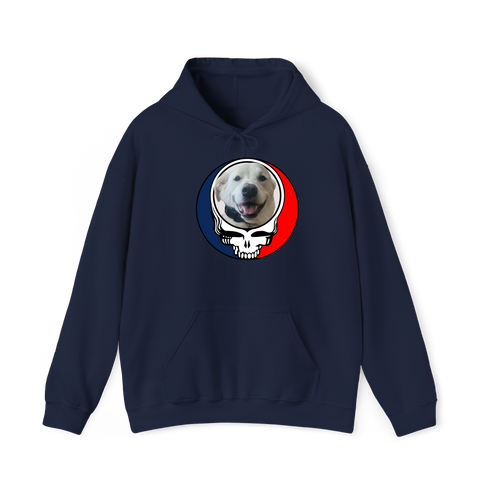 1564 - Custom Stealie Hoodie