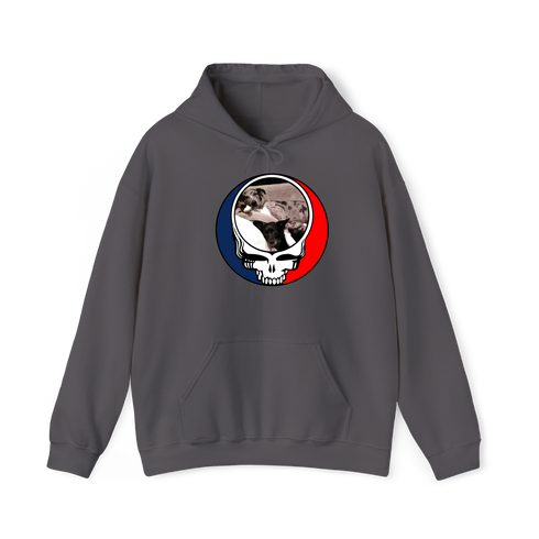 1480 - Custom Stealie Hoodie