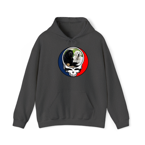 1619 - Custom Stealie Hoodie