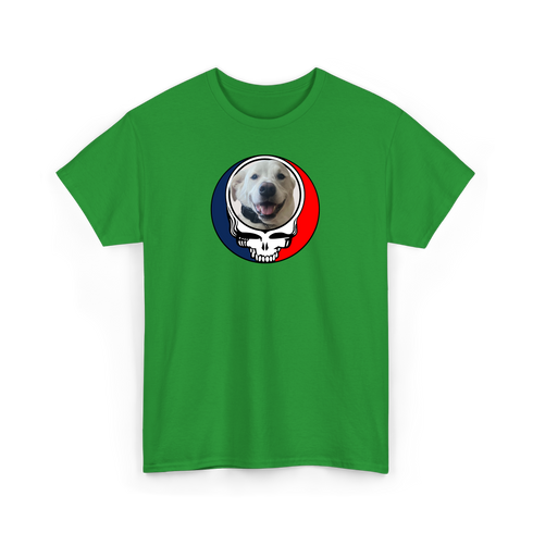 1564 - Custom Stealie T-Shirt